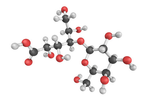 3d structure of Lactobionic acid, a sugar acid. It is a disaccha