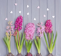 Colorful flowers on the handmade wooden background