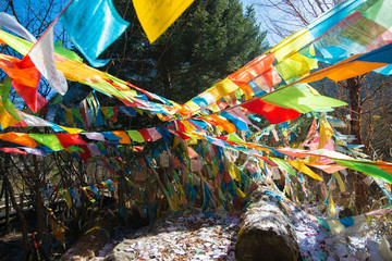 Tibetan prayer flag