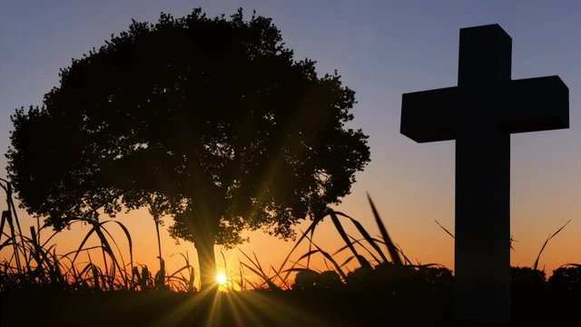 beautiful place to RIP under tree in sunset 4k UHD 11658
