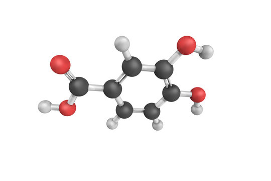 3d structure of Protocatechuic acid, a dihydroxybenzoic acid. It