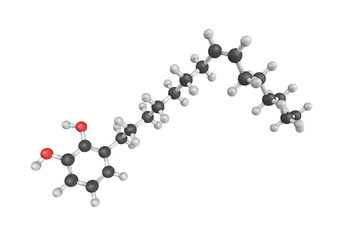 3d structure of Urushiol, an oily organic allergen found in plan