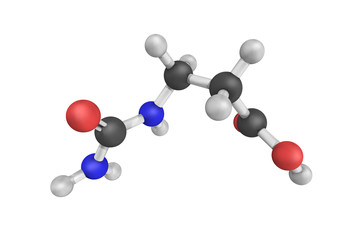 3d structure of Ureidopropionic acid, an intermediate in the met