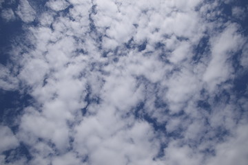 Obraz premium Heavenly landscape with clouds. Cumulus clouds in the sky