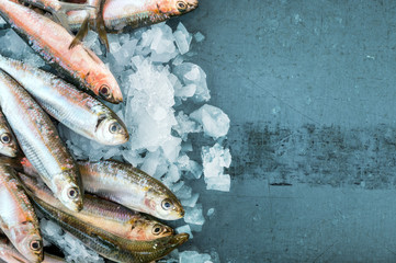 Small fish