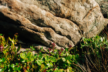 Stones in the mountains Carpathians. Beautiful mountain view