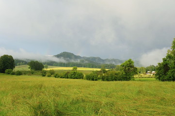Landscape after the storm