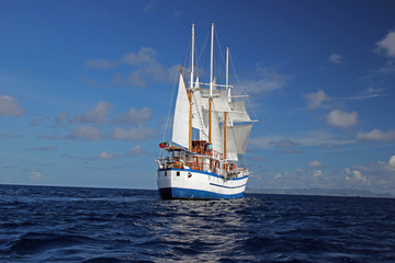 Sailing ships © Edward