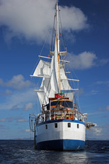 Sailing ships © Edward