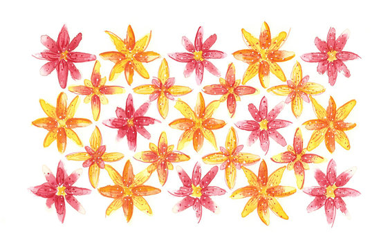 Rosa Orange Blumen