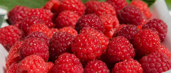delicious red berry