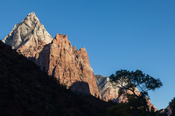 Zion National Park Sunrise Landscape