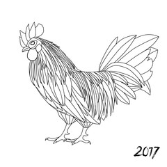 Vector illustration of rooster