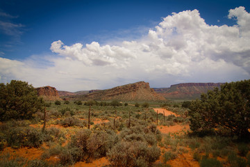 Obraz premium Utah Sediment