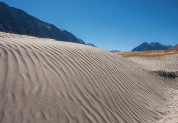 The desert