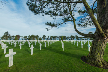 White crosses in American Cemetery, Omaha Beach, Normandy, Franc