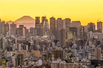 Möbelaufkleber Tokyo skyline and Mountain fuji © f11photo
