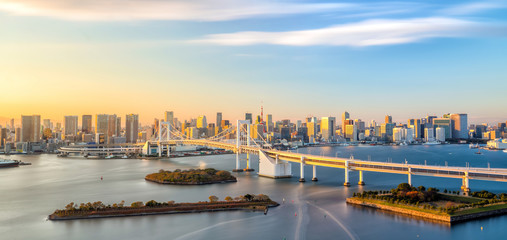 Fototapeta premium Tokio linia horyzontu z Tokio wierza i tęcza mostem
