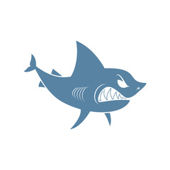 Shark isolated. Marine predator on white background