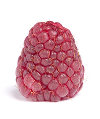 Single raspberry isolated