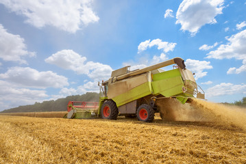 Obraz premium A combine harvester at work on a field in Bulgaria.