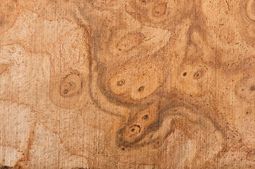 Background of wood, texture