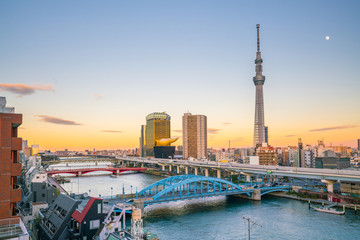 Naklejka premium Tokyo skyline with the Sumida River