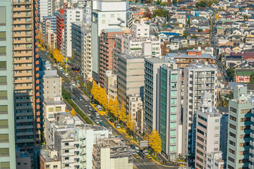 Downtown Tokyo skyline