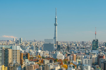 Obraz premium Panoramę centrum Tokio