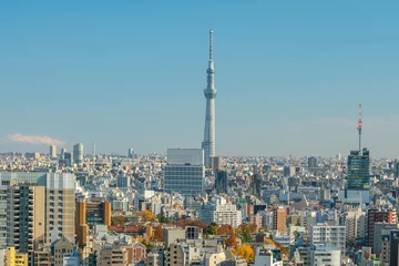 Fotobehang Downtown Tokyo skyline © f11photo