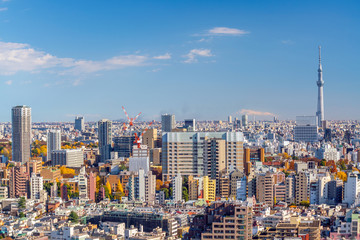 Naklejka premium Downtown Tokyo skyline