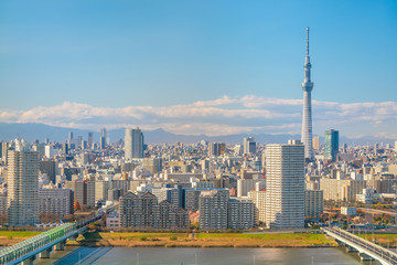 Obraz premium Downtown Tokyo skyline