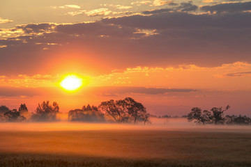 Beautiful summer morning landscape. Misty dawn.
