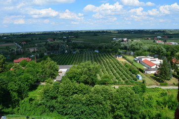 Krajobraz wsi/The landscape of village, Mazovia, Poland