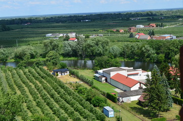Sadownictwo na Mazowszu/The orchards in Mazovia, Poland