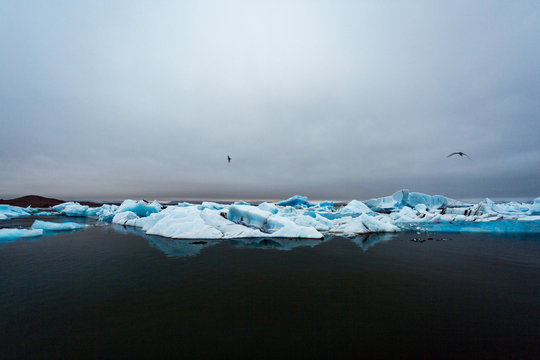 Icebergs and birds flying 