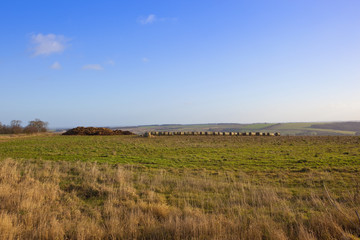 compost heap and round bales