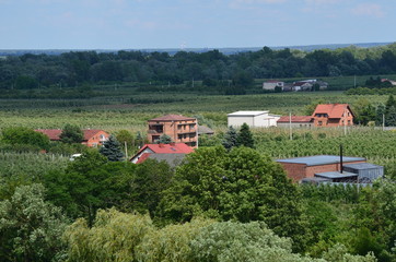 Mazowsze/Mazovia, Poland © Pictofotius