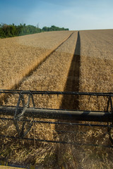 Moisson de bl&eacute;