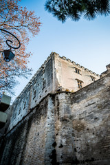 Avignon et ses remparts