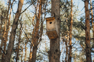 birdhouse in a tree in the winter forest