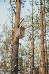birdhouse in a tree in the winter forest