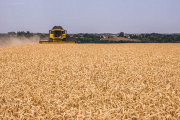 Moisson de bl&eacute;