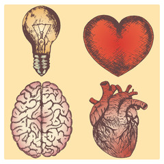 Hand drawn vector sketch illustration set - brain, love and naturalistic heart, light bulb, yellow background.