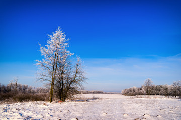 Brama na bagna, Narew © podlaski49