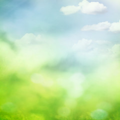 Obraz na płótnie Canvas Spring field a background