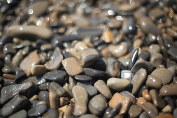 Красивая морская галька