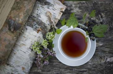 Tea with a currant and sprigs of oregano