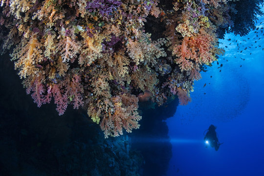 Deep Colors