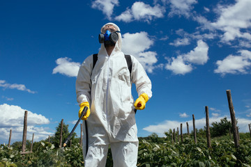 Industrial agriculture theme. Man spraying toxic pesticides or insecticides on fruit growing...